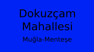 Dokuzçam Mahallesi Thumbnail