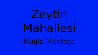 Zeytin Mahallesi Thumbnail