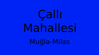 Çallı Mahallesi Thumbnail