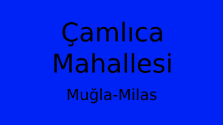 Çamlıca Mahallesi Thumbnail