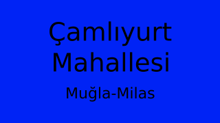 Çamlıyurt Mahallesi Thumbnail