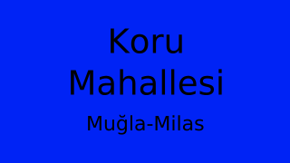 Koru Mahallesi Thumbnail