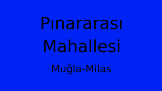 Pınararası Mahallesi Thumbnail