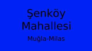 Şenköy Mahallesi Thumbnail