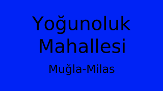Yoğunoluk Mahallesi Thumbnail