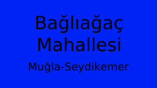 Bağlıağaç Mahallesi Thumbnail