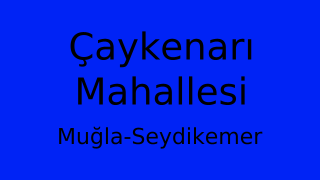 Çaykenarı Mahallesi Thumbnail