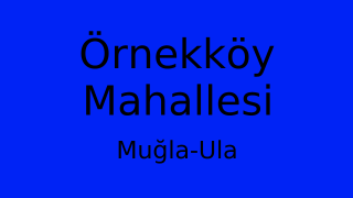 Örnekköy Mahallesi Thumbnail