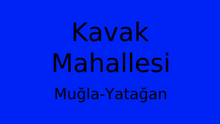 Kavak Mahallesi Thumbnail