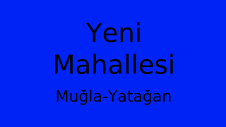Yeni Mahallesi Thumbnail