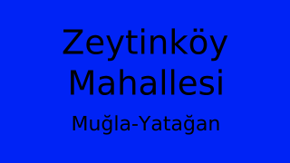 Zeytinköy Mahallesi Thumbnail