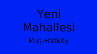 Yeni Mahallesi Thumbnail
