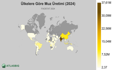 Ülkelere Göre Muz Üretimi (2024) Thumbnail