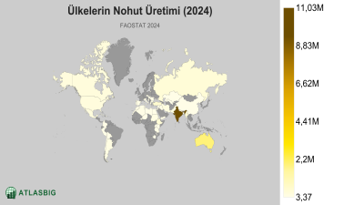 Ülkelerin Nohut Üretimi 2026 Thumbnail