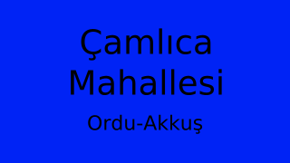 Çamlıca Mahallesi Thumbnail
