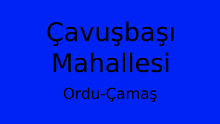 Çavuşbaşı Mahallesi Thumbnail