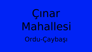Çınar Mahallesi Thumbnail