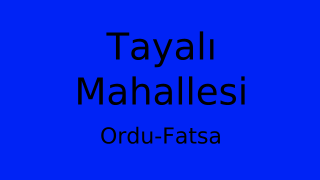 Tayalı Mahallesi Thumbnail
