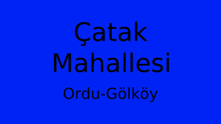 Çatak Mahallesi Thumbnail