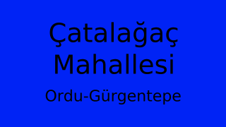 Çatalağaç Mahallesi Thumbnail