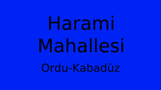 Harami Mahallesi Thumbnail