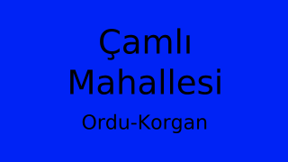 Çamlı Mahallesi Thumbnail