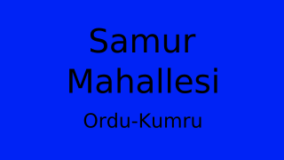 Samur Mahallesi Thumbnail