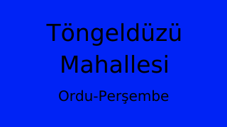 Töngeldüzü Mahallesi Thumbnail