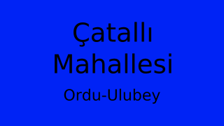 Çatallı Mahallesi Thumbnail