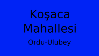 Koşaca Mahallesi Thumbnail