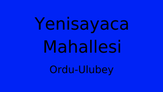 Yenisayaca Mahallesi Thumbnail