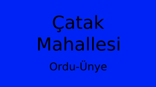 Çatak Mahallesi Thumbnail