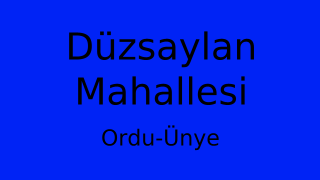 Düzsaylan Mahallesi Thumbnail