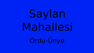 Saylan Mahallesi Thumbnail