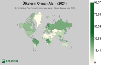 Ülkelerin Orman Alanı 2026 Thumbnail