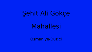 Şehit Ali Gökçe Mahallesi Thumbnail