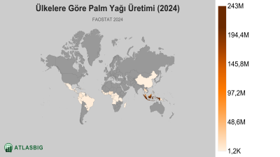 Ülkelere Göre Palm Yağı Üretimi 2026 Thumbnail