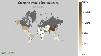 Ülkelerin Pamuk Üretimi 2026 Thumbnail