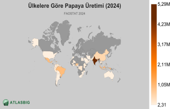 Ülkelere Göre Papaya Üretimi (2024) Thumbnail