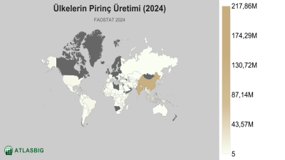Ülkelerin Pirinç Üretimi (2024) Thumbnail