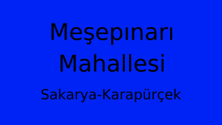 Meşepınarı Mahallesi Thumbnail