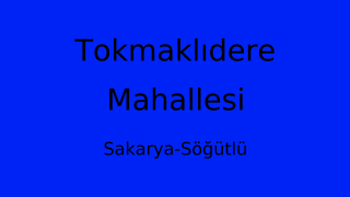 Tokmaklıdere Mahallesi Thumbnail