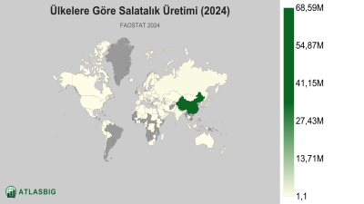 Ülkelere Göre Salatalık Üretimi (2024) Thumbnail