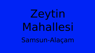 Zeytin Mahallesi Thumbnail