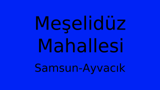 Meşelidüz Mahallesi Thumbnail