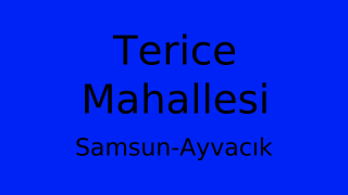 Terice Mahallesi Thumbnail