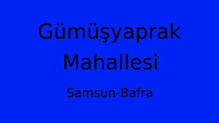 Gümüşyaprak Mahallesi Thumbnail