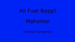 Ali Fuat Başgil Mahallesi Thumbnail