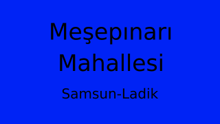 Meşepınarı Mahallesi Thumbnail