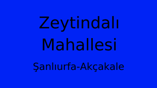 Zeytindalı Mahallesi Thumbnail